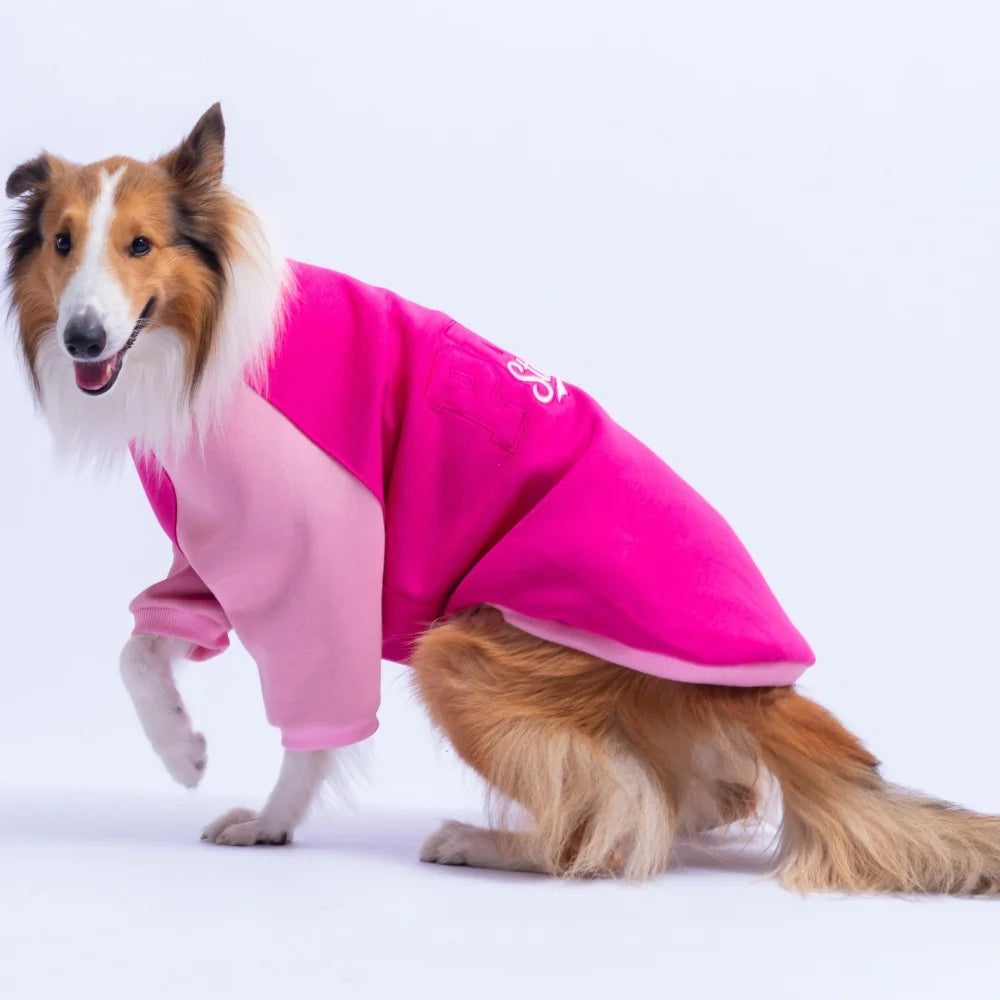 Fuchsia Boston Large Breed Sweatshirt