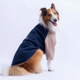 Navy Boston Large Breed Sweatshirt