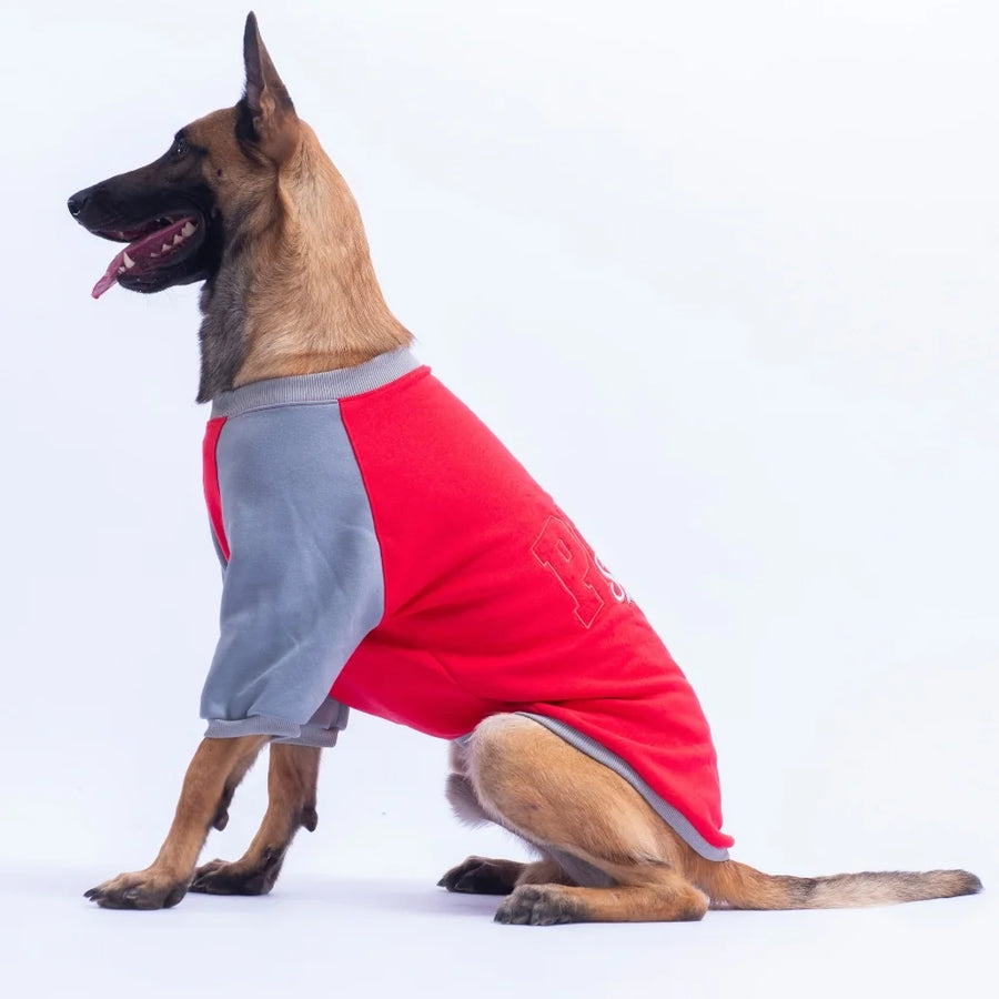 Red Boston Large Breed Sweatshirt