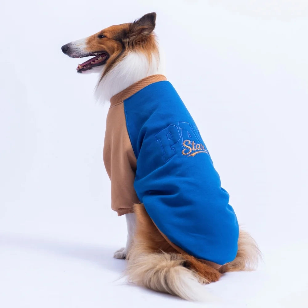 Saks Blue Boston Large Breed Sweatshirt