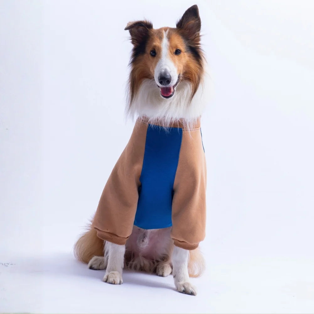 Saks Blue Boston Large Breed Sweatshirt