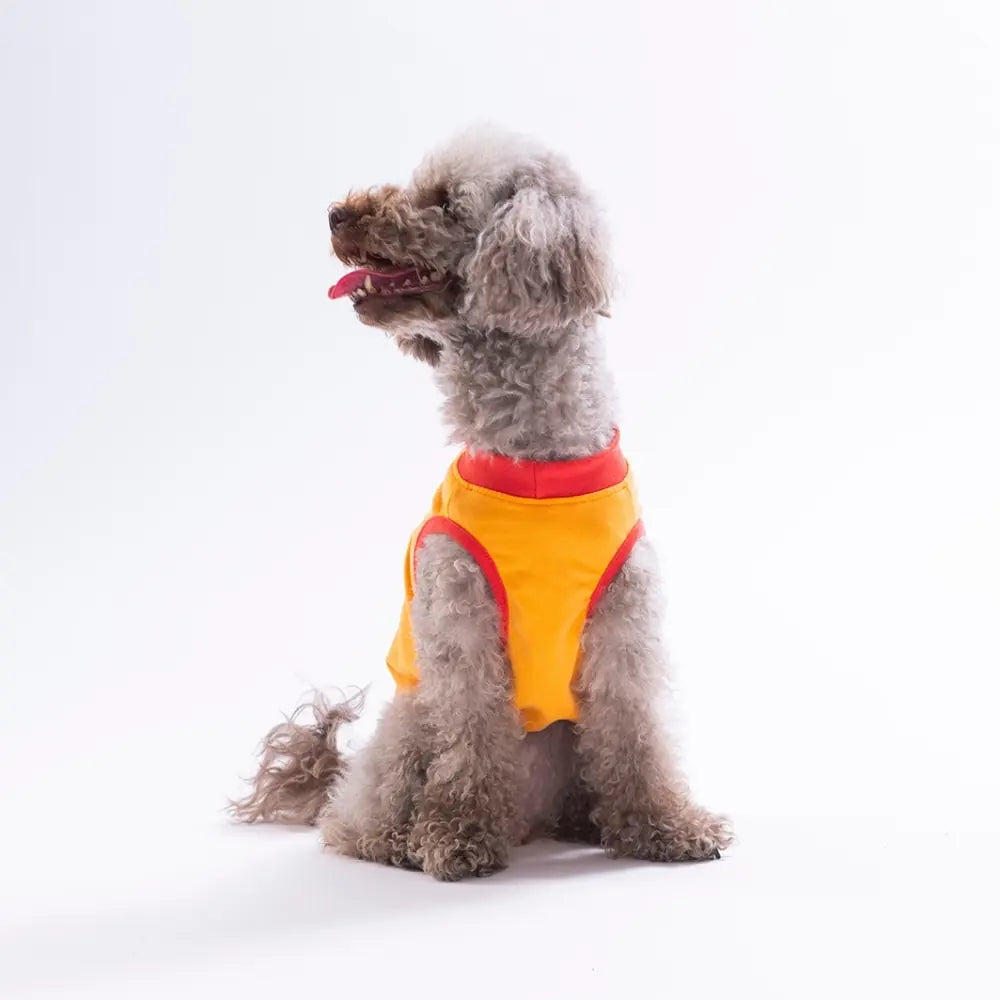 Orange Donut Teddy Tee