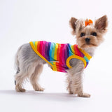 Rainbow Tee
