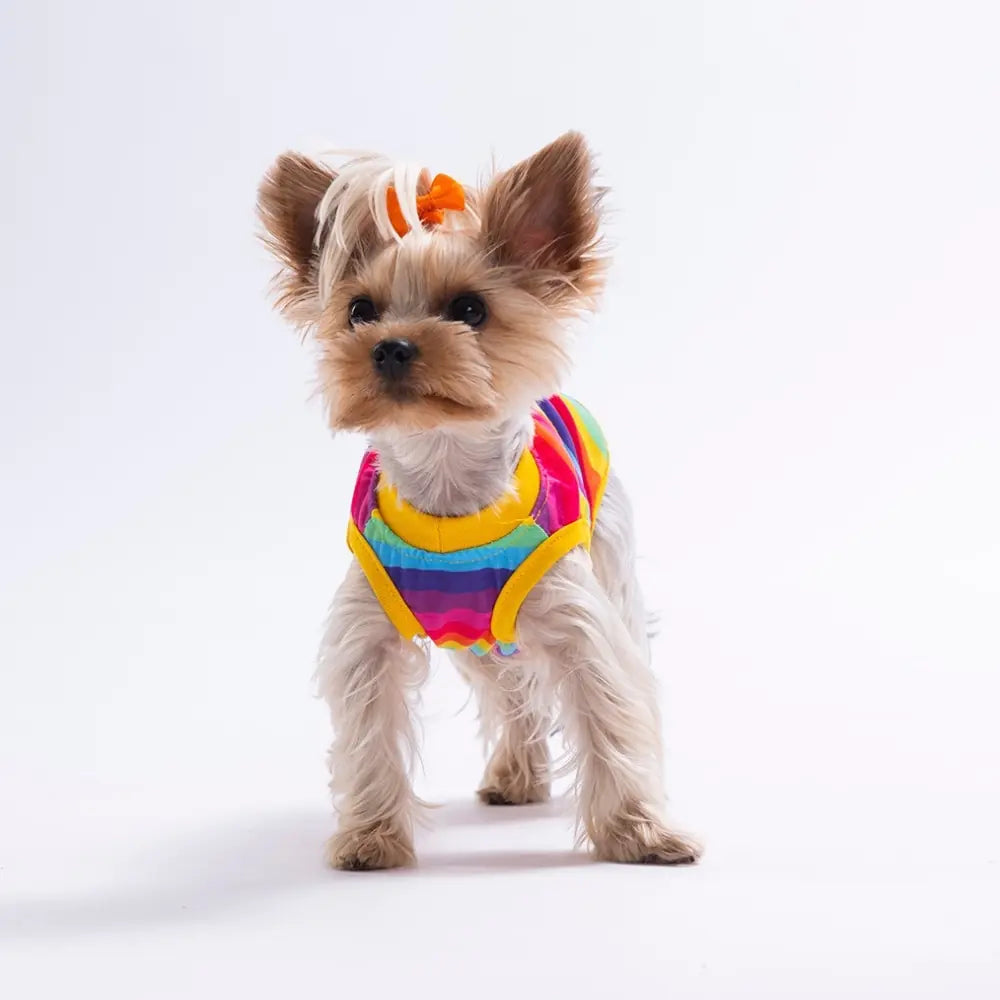Rainbow Tee