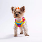 Rainbow Tee