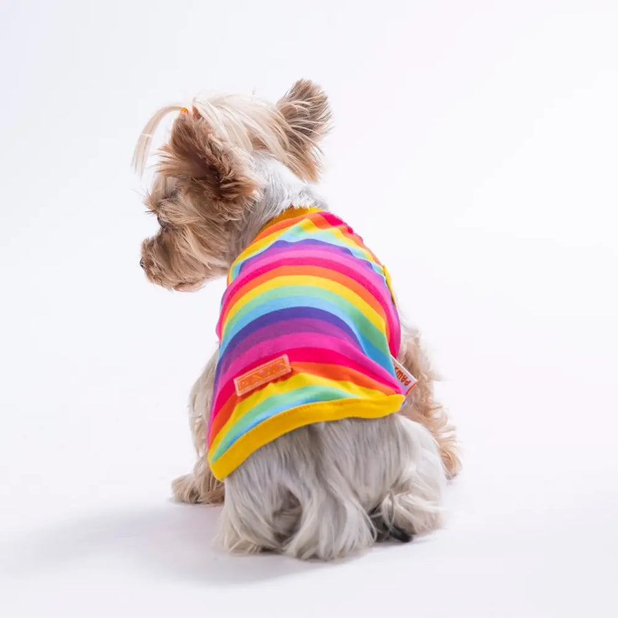 Rainbow Tee