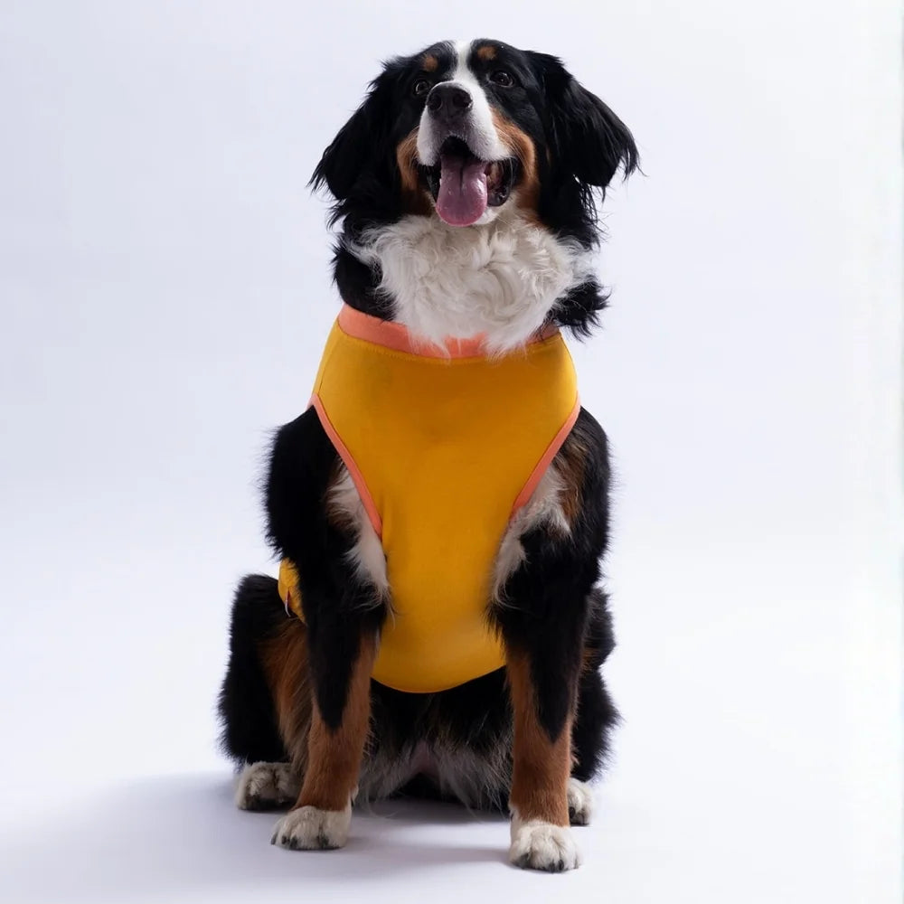 Yellow Crabby Beach Large Tee