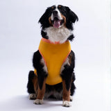 Yellow Crabby Beach Large Tee