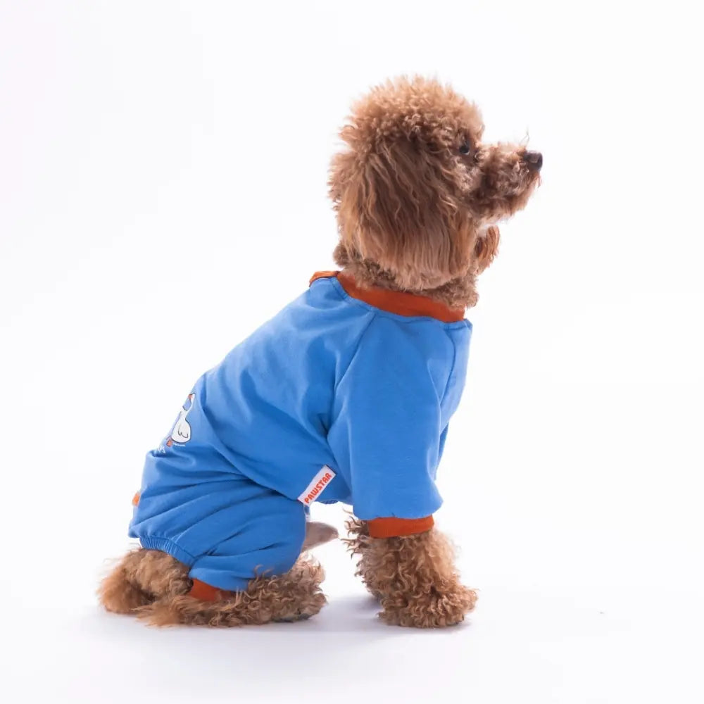 Blue Ducks Pajama Jumpsuit