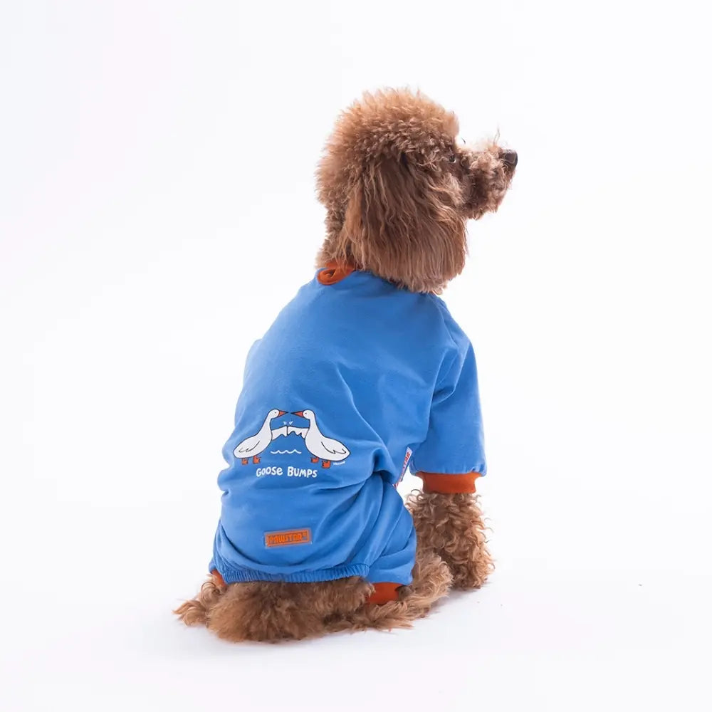 Blue Ducks Pajama Jumpsuit