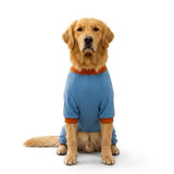 Blue Ducks Large Breed Pajama Jumpsuit