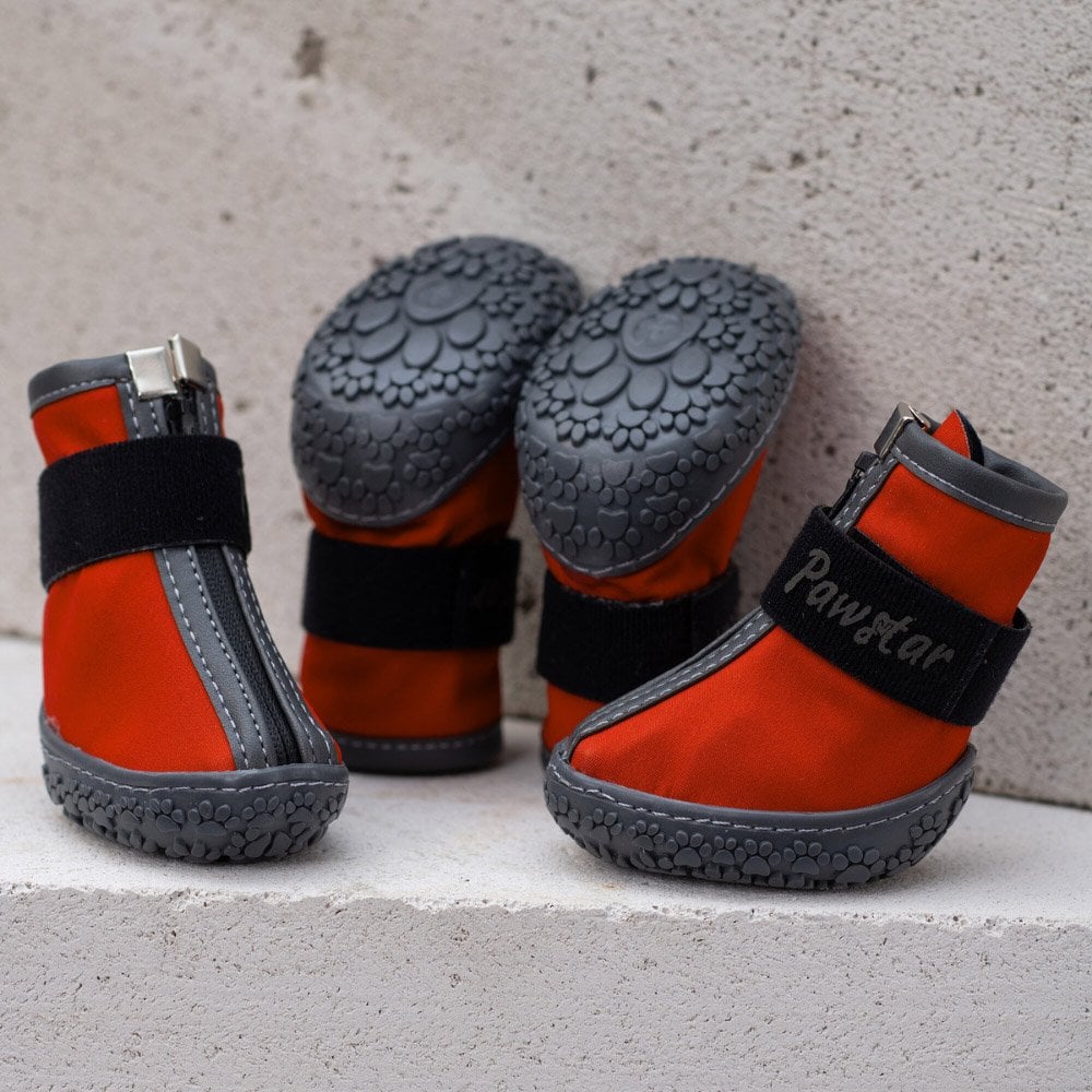 Red Dog Shoes