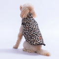 PawStar Mbeya Gold Dog Vest for Small and Medium Breeds, Stylish Lightweight Pet Clothing, Comfortable Daily Wear Jacket