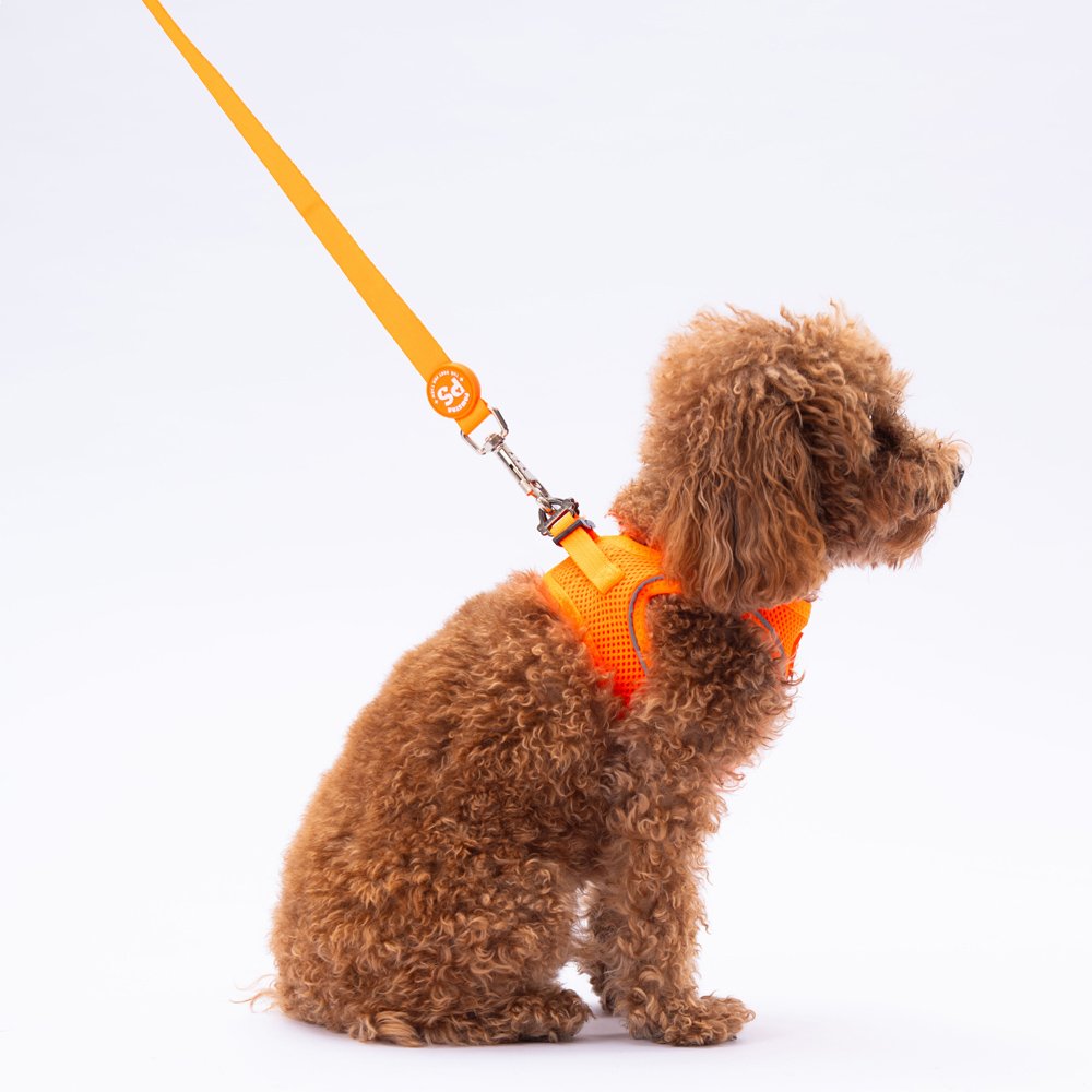 L02 Neon Orange Sevk Leash