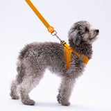 L07 Gold Sevk Leash