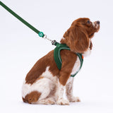 L08 Pine Green Sevk Leash