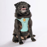 Mint Airmesh Dog Harness
