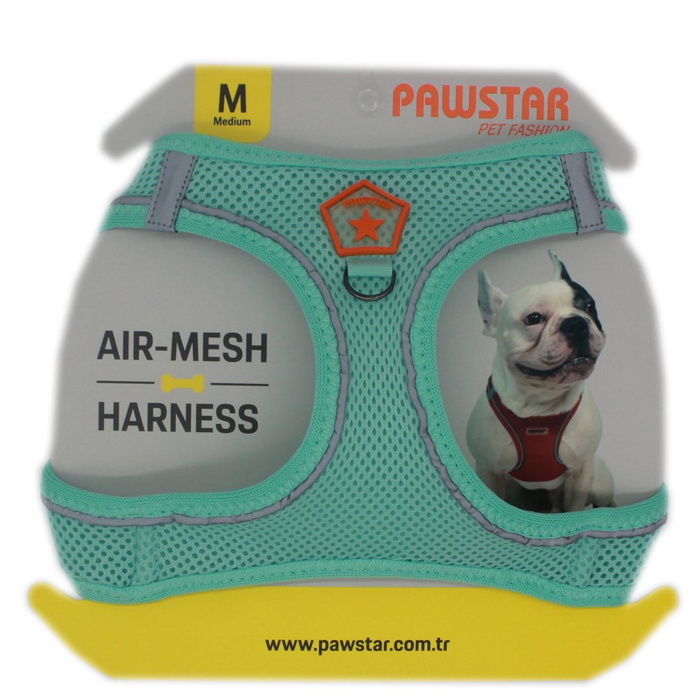 Mint Airmesh Dog Harness