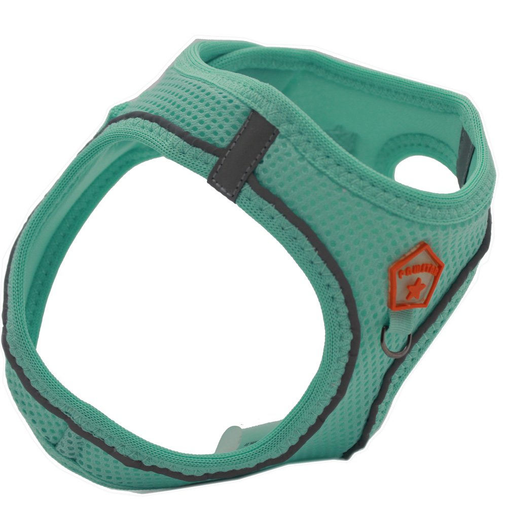 Mint Airmesh Dog Harness