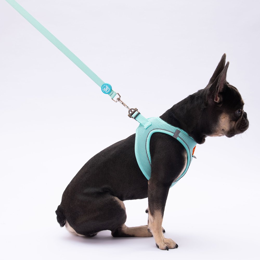 L09 Mint Sevk Leash
