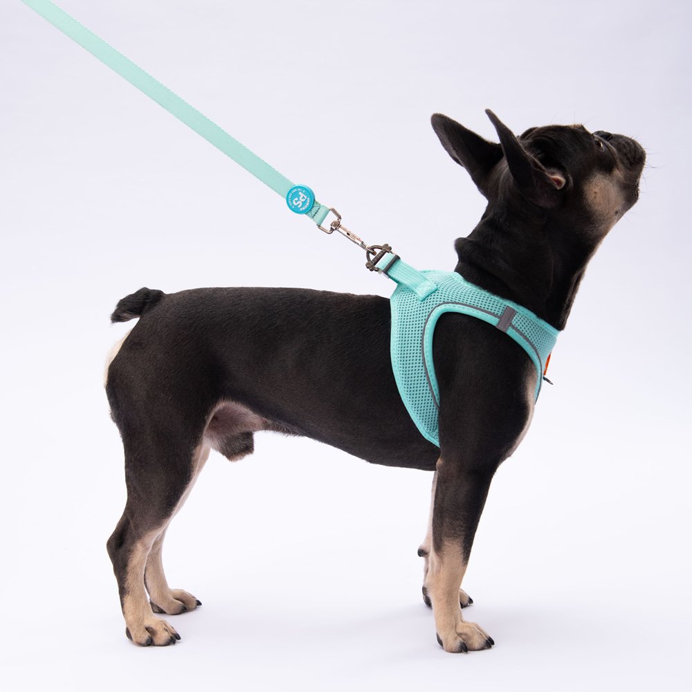 L09 Mint Sevk Leash