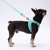 L09 Mint Sevk Leash