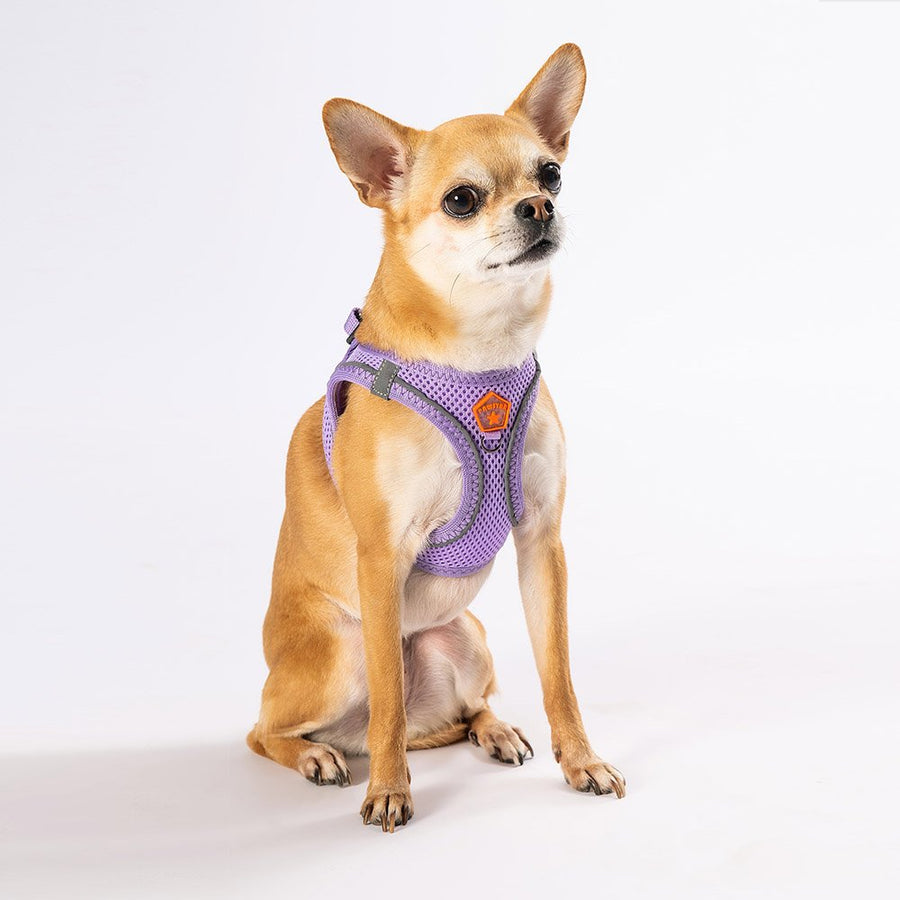 Lilac Airmesh Dog Harness