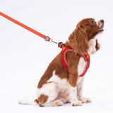 L11 Kiremit Sevk Leash