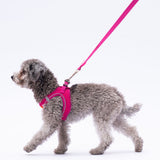 L12 Fuchsia Sevk Leash