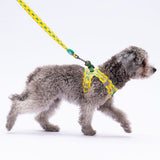 Airmesh Cactus Harness