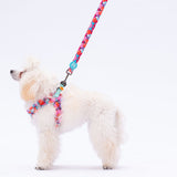 L20 Balloons Sevk Leash