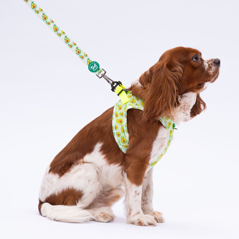 L21 Avocado Sevk Leash