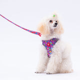 L23 Hearts Sevk Leash