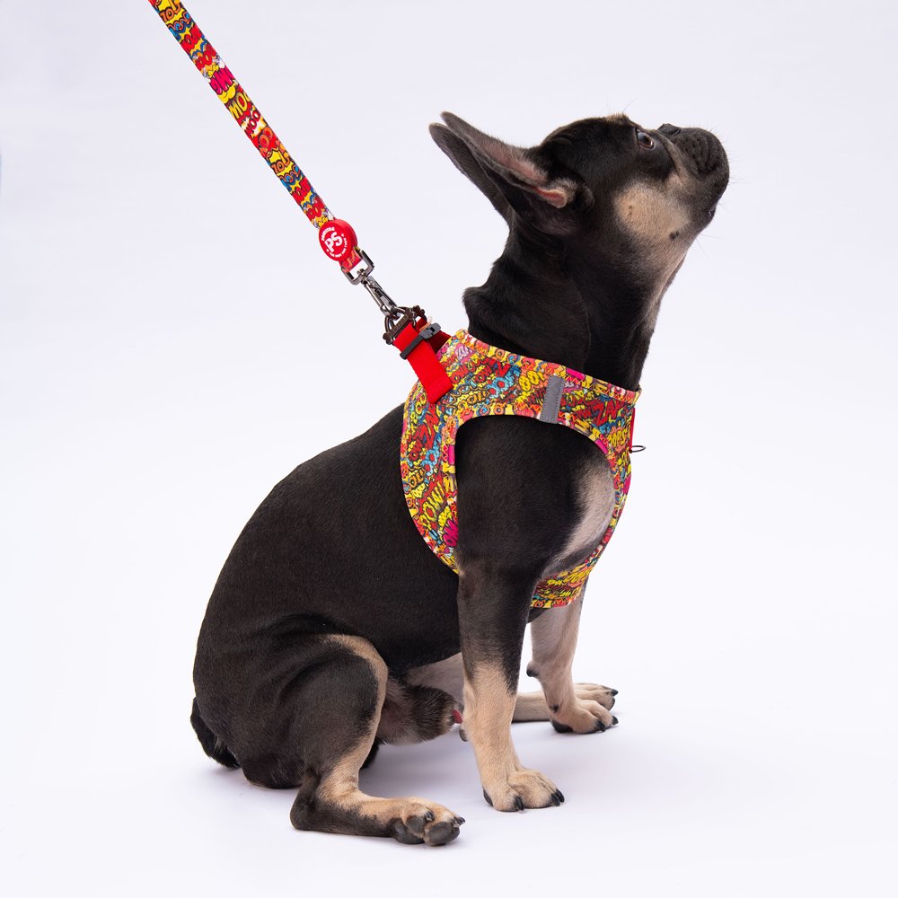 Airmesh Wow Harness