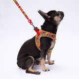 L24 Wow Sevk Leash