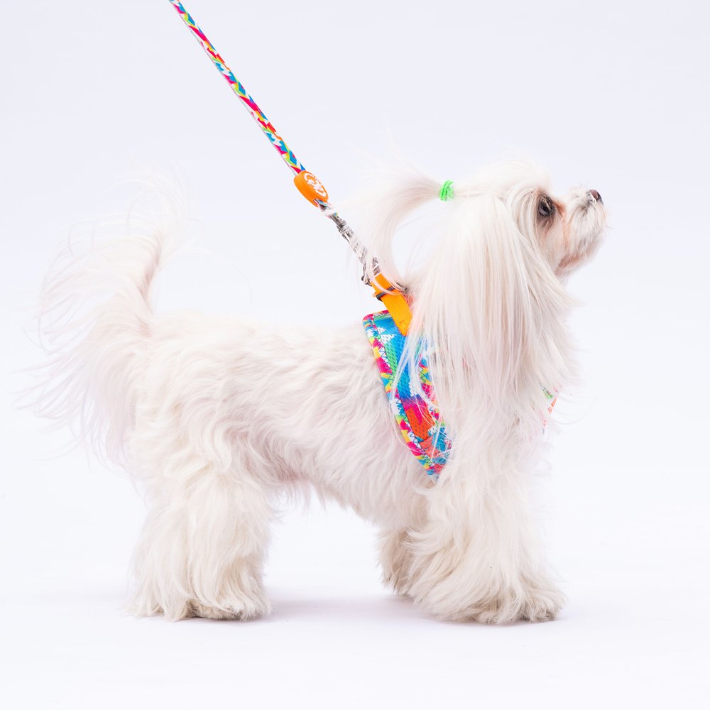 Airmesh Mosaic Harness