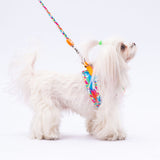 Airmesh Mosaic Harness