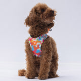 Airmesh Mosaic Harness