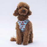 Airmesh Bears Harness