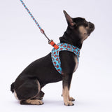 Airmesh Bears Harness