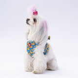 Airmesh Ducks Harness