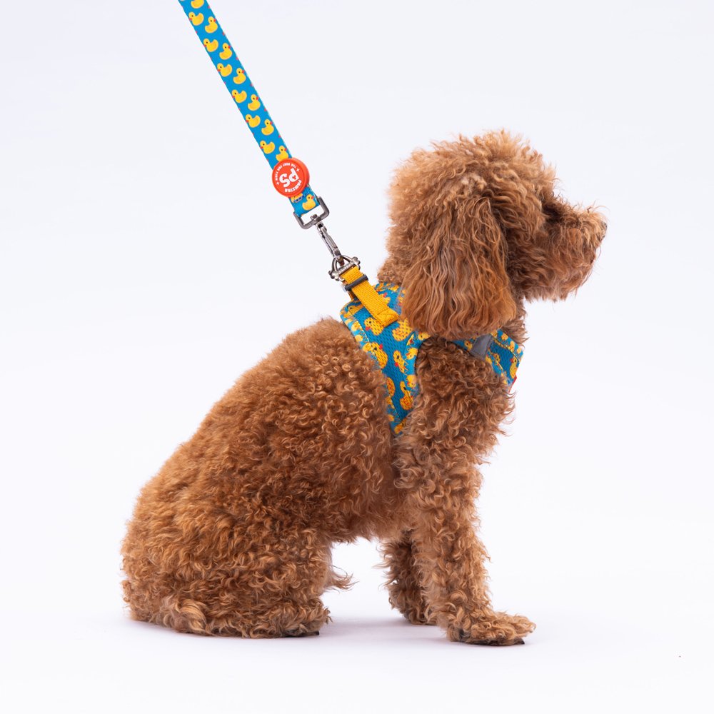 Airmesh Ducks Harness