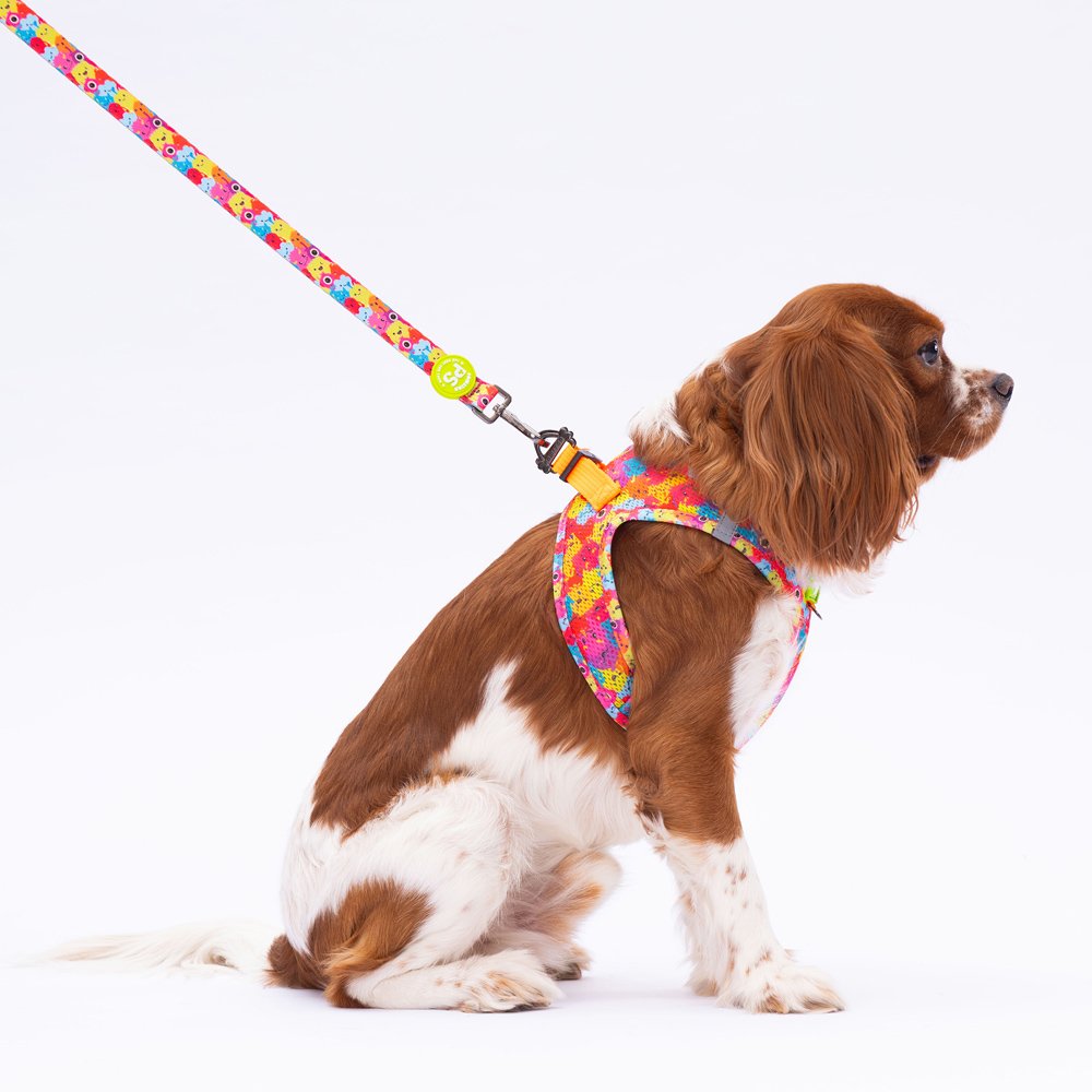 L29 Monsters Sevk Leash