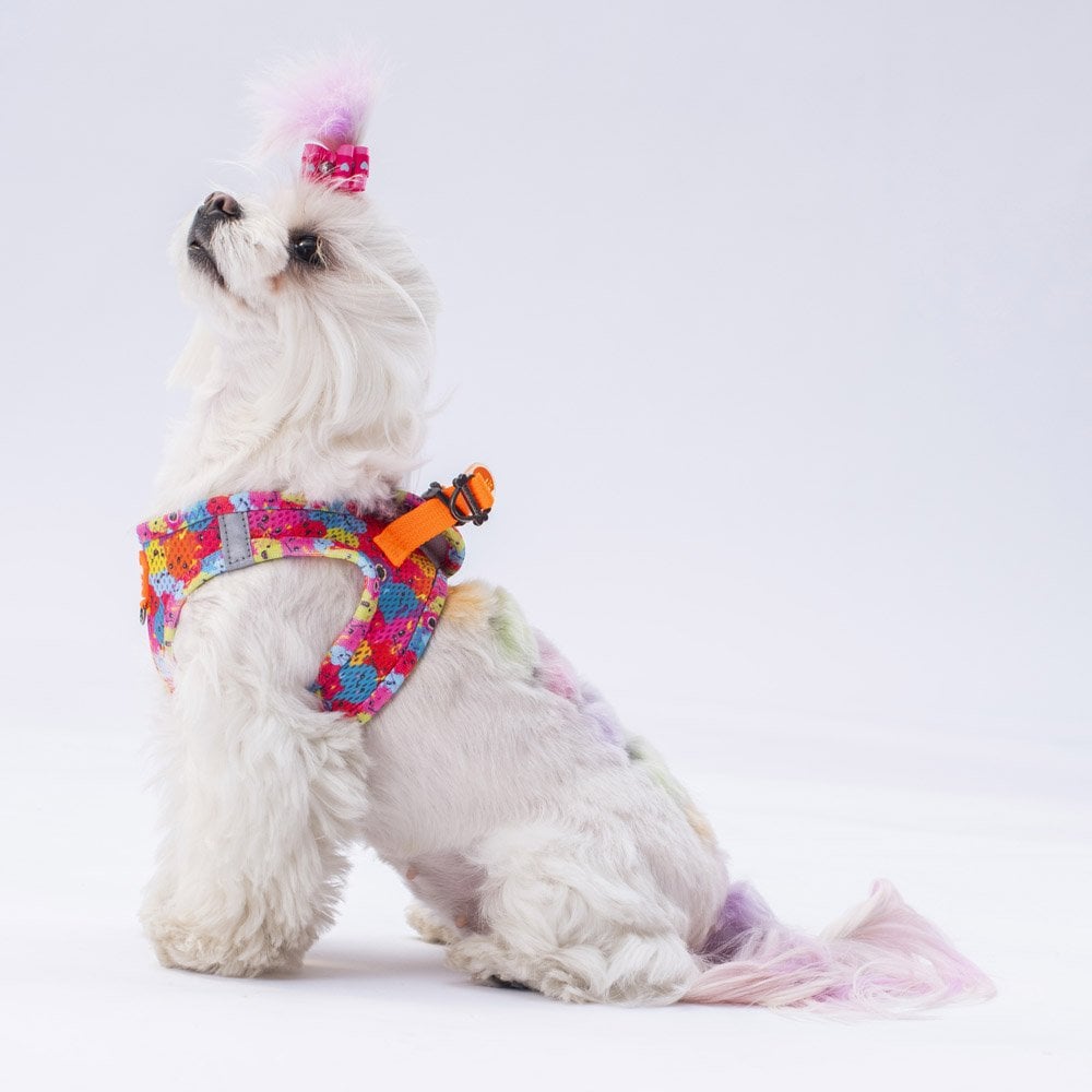 Airmesh Monsters Harness