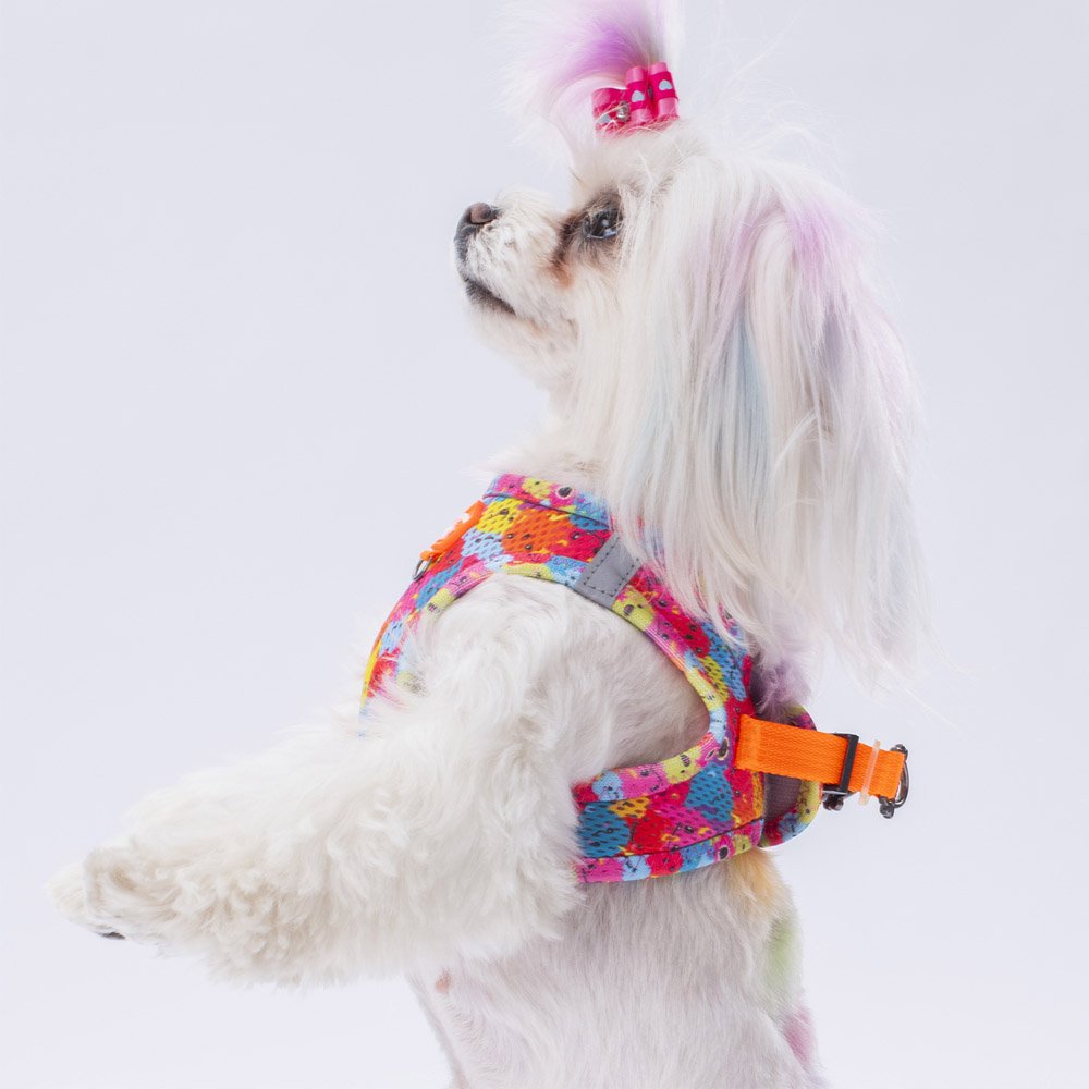 Airmesh Monsters Harness