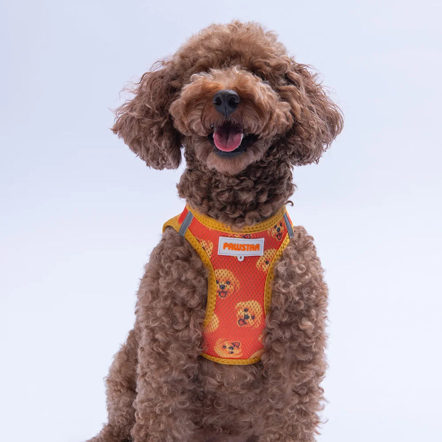 Airmesh Poodle Harness