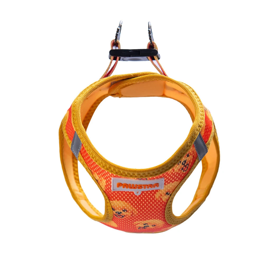 Airmesh Poodle Harness