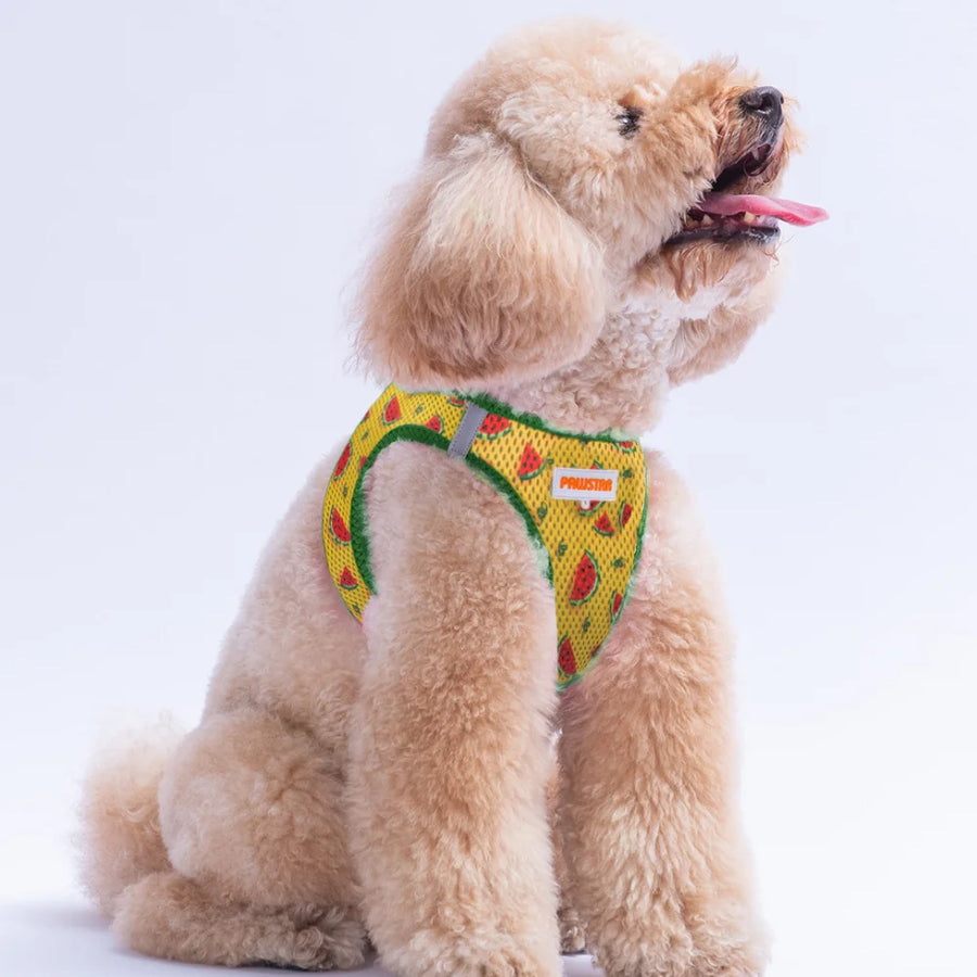 Airmesh Watermelon Harness