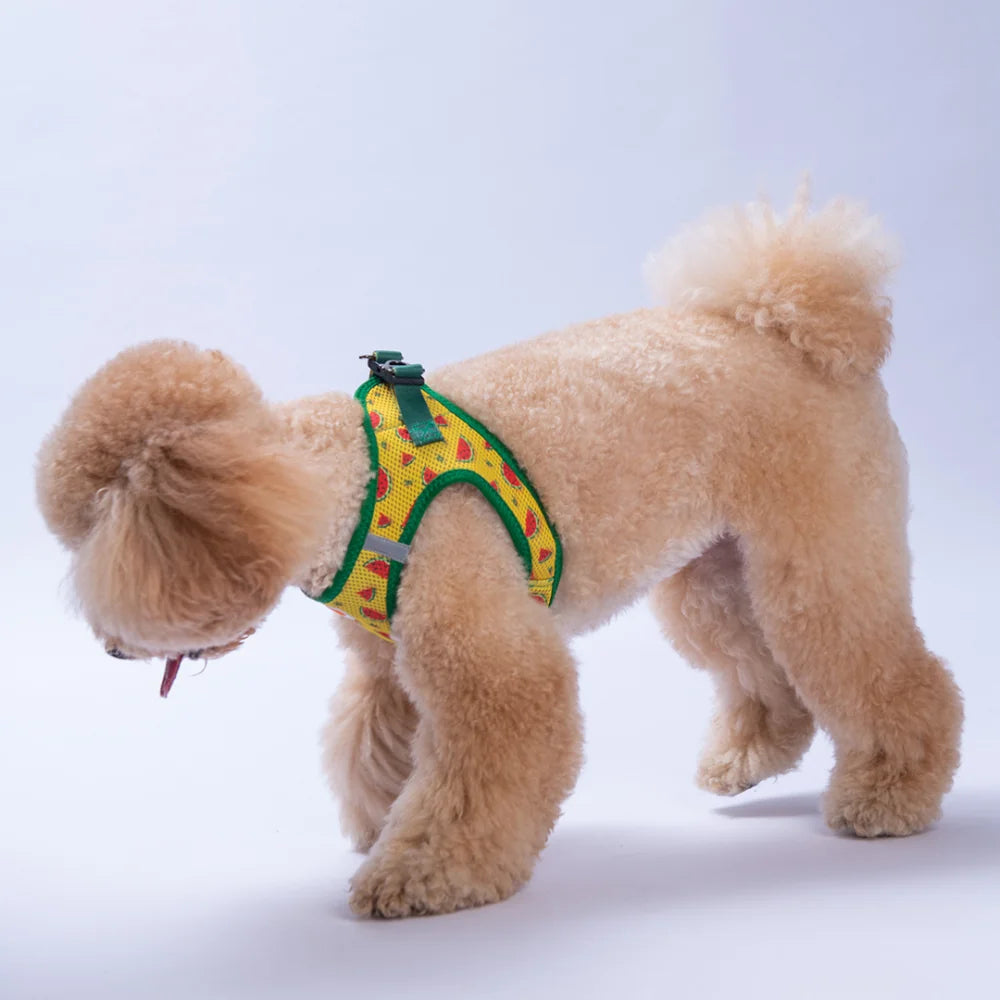 Airmesh Watermelon Harness