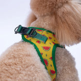 Airmesh Watermelon Harness